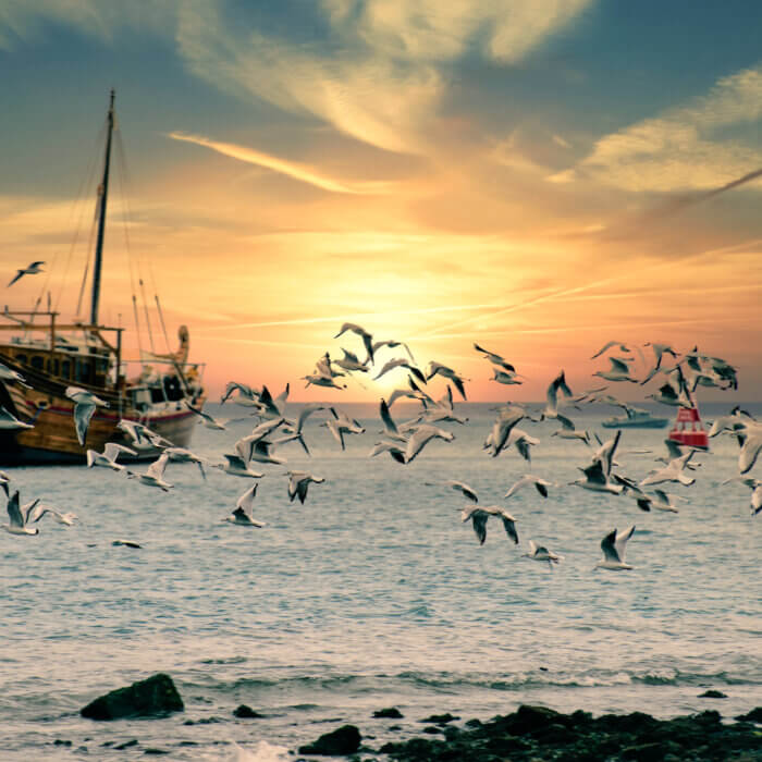 Image shows fisher boat on Musandam Peninsula, Oman.