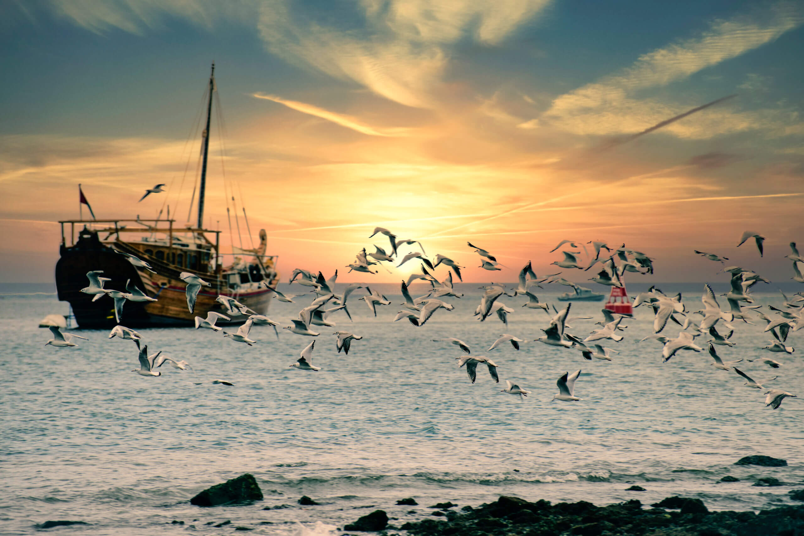 Image shows fisher boat on Musandam Peninsula, Oman.