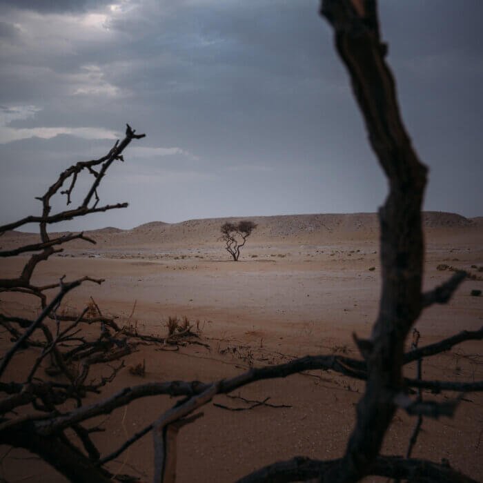 View of desert near Doha in Qatar