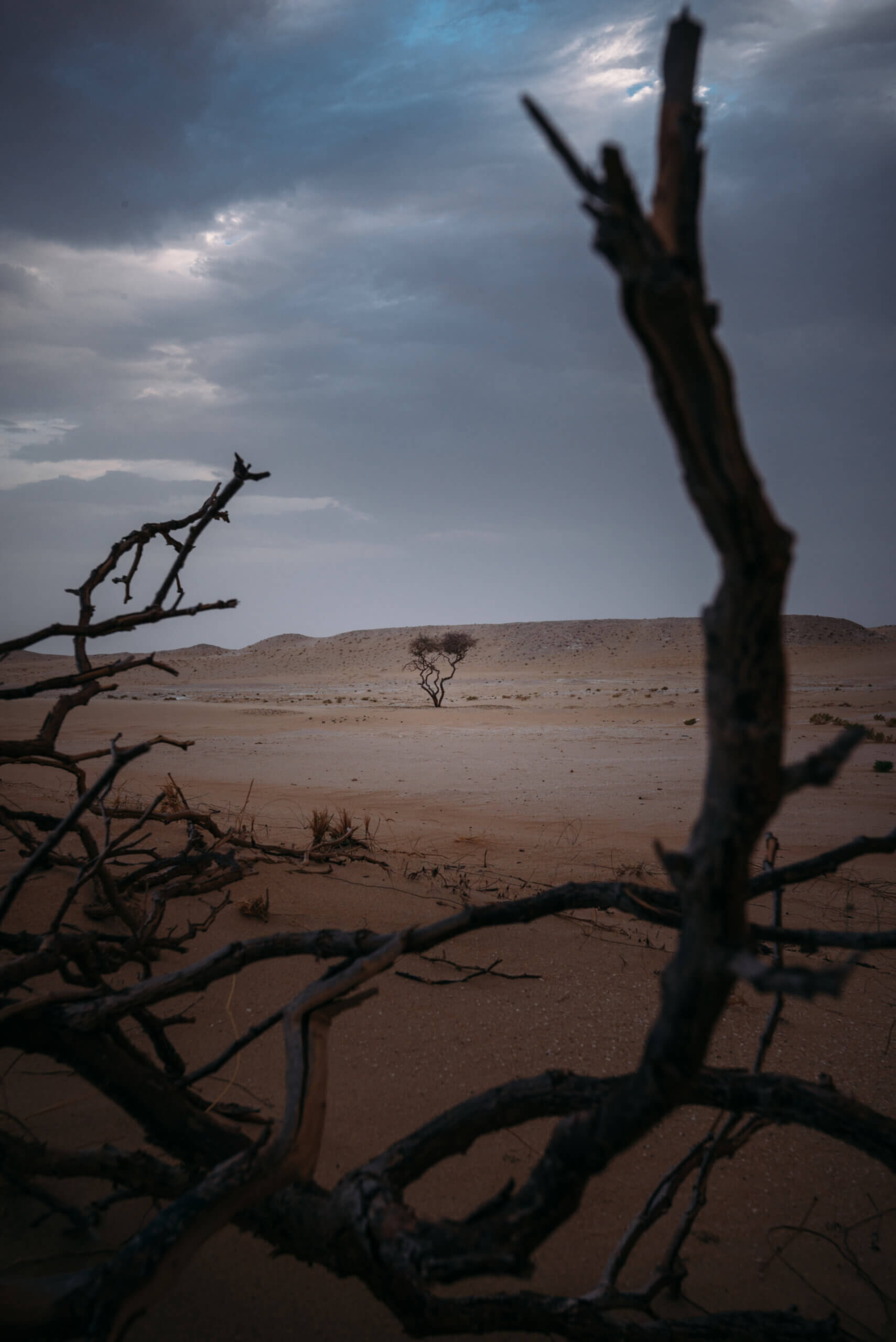 View of desert near Doha in Qatar