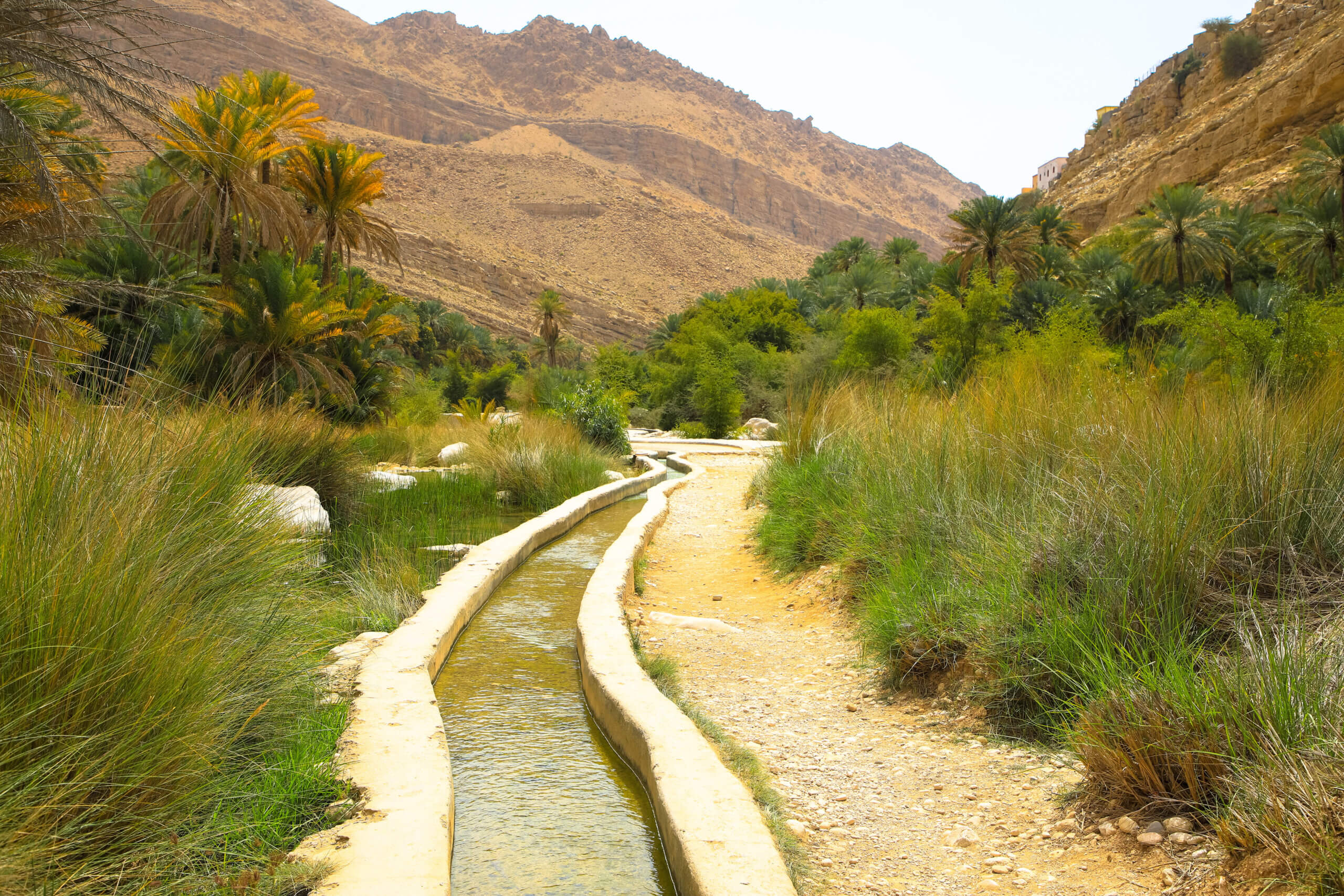 View of irrigation system in Salalah, Oman