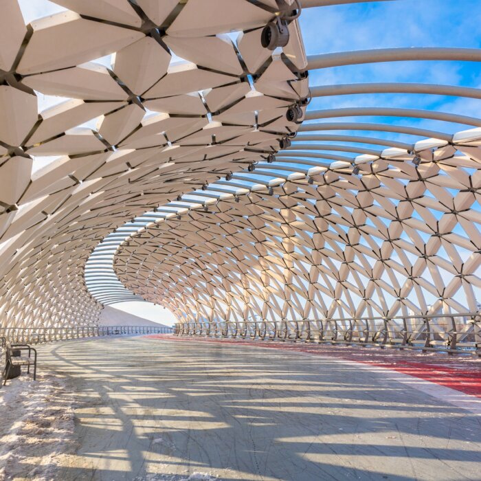 Image shows Fish bridge in Kazakhstan