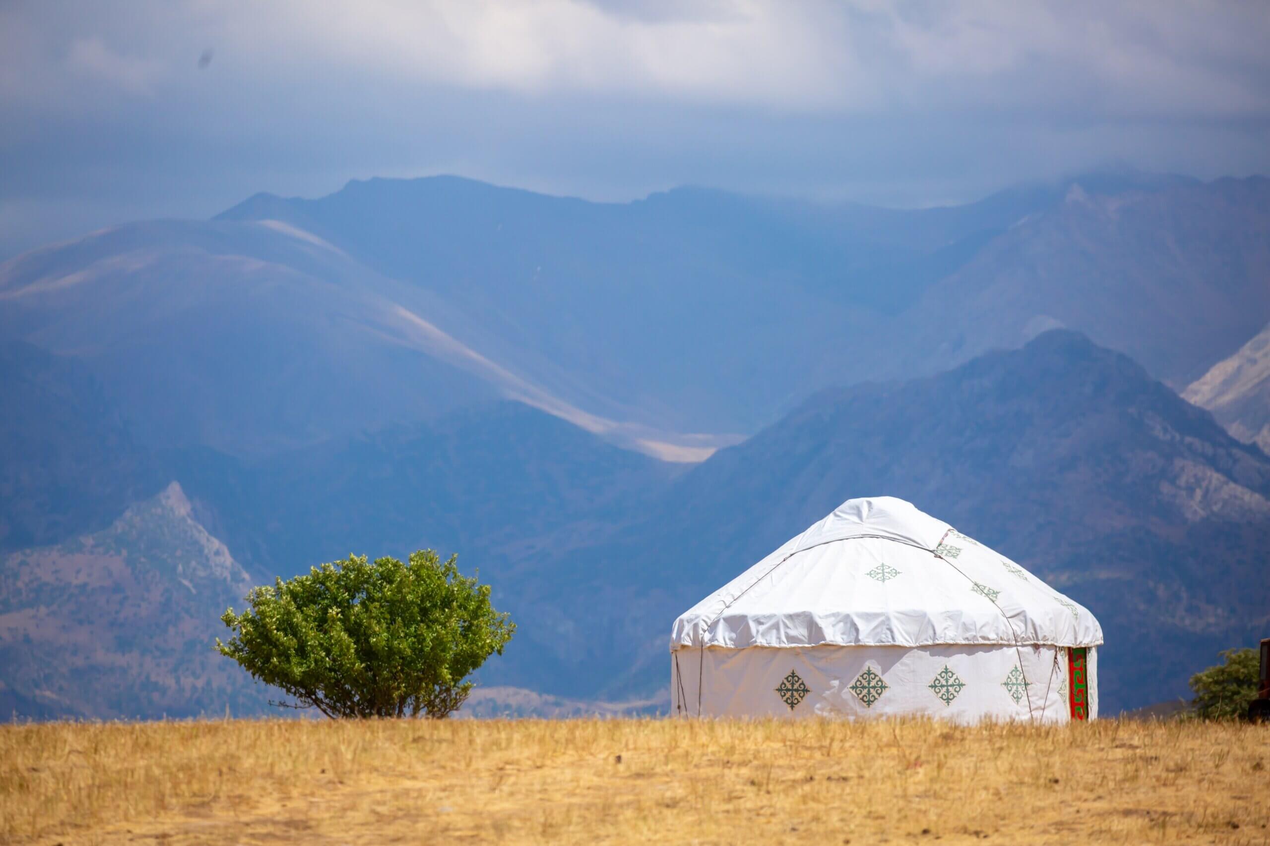 Tent in field with mountains in background